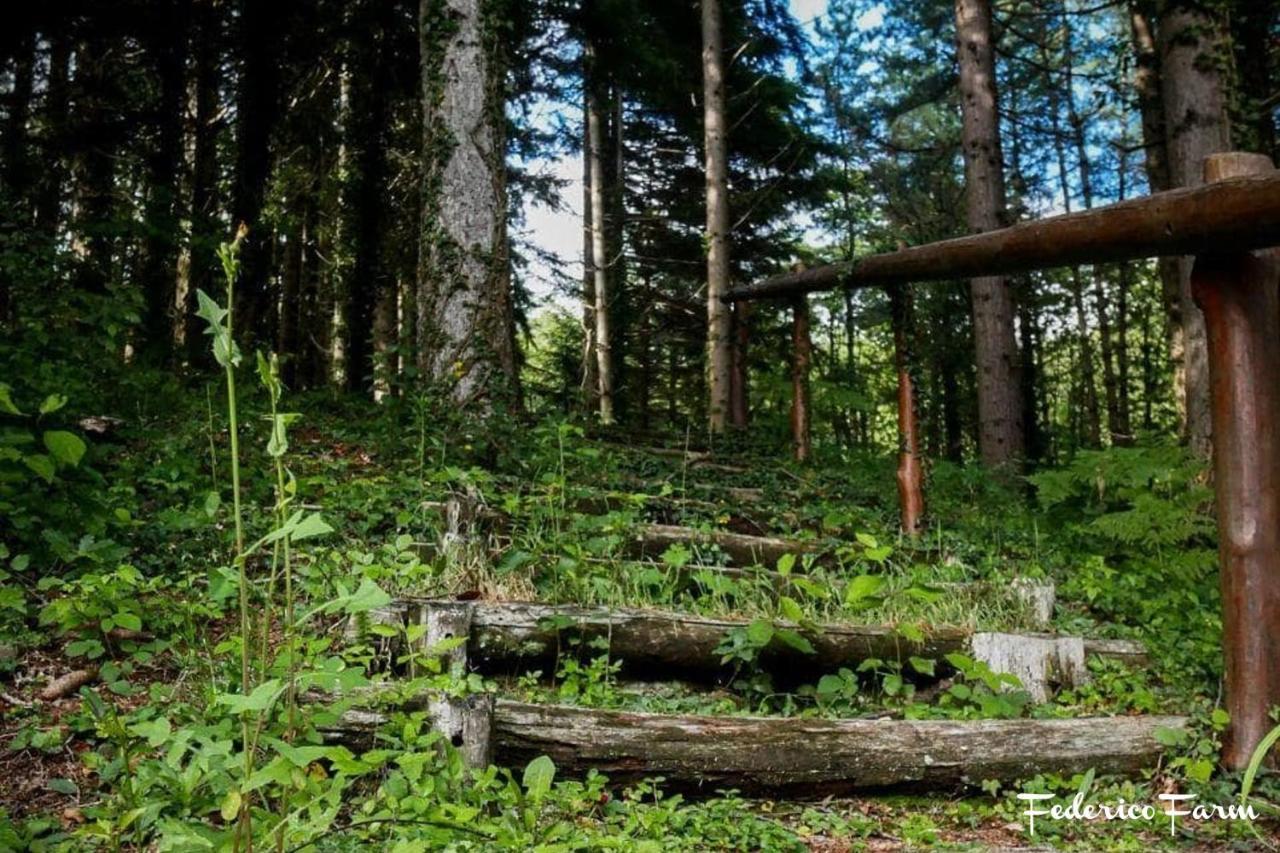 Camping Grondola - Federicofarm Понтремоли Экстерьер фото
